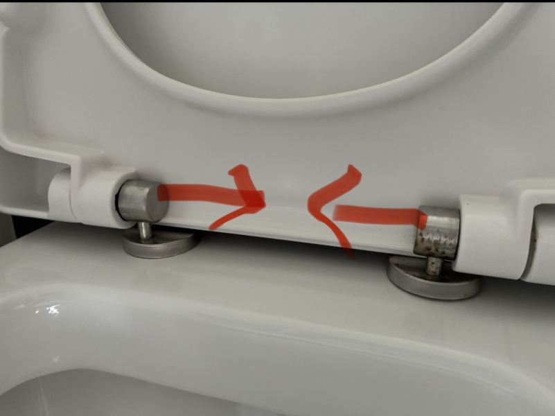 How on earth do I remove this toilet seat?