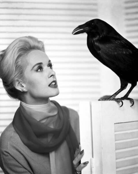 Just for balance:  The Most Beautiful Women Ever