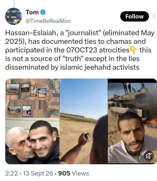 To say all pro-Palestinians should watch Fauda on Netflix?