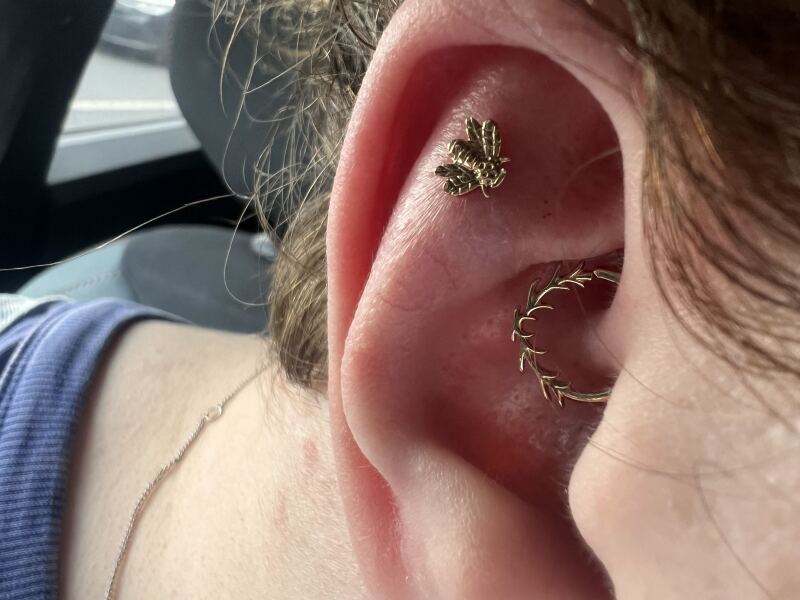 Curated ears!