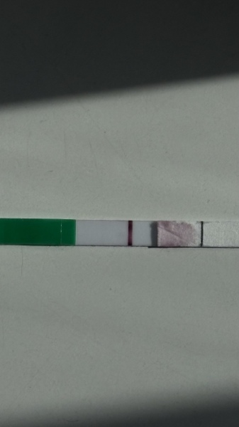TTC September/October 26