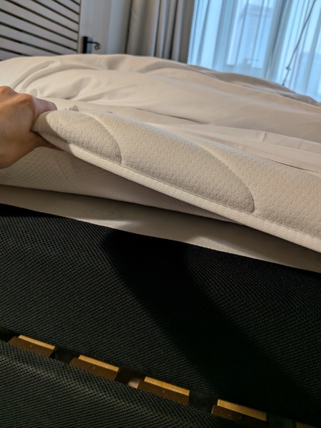 AIBU to charge work double because the hotel mattress is causing pain?