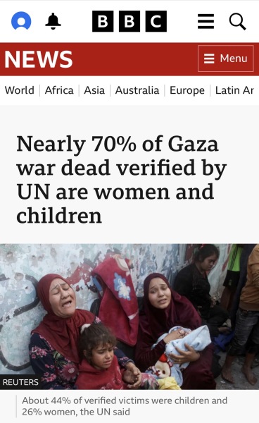 To say all pro-Palestinians should watch Fauda on Netflix?
