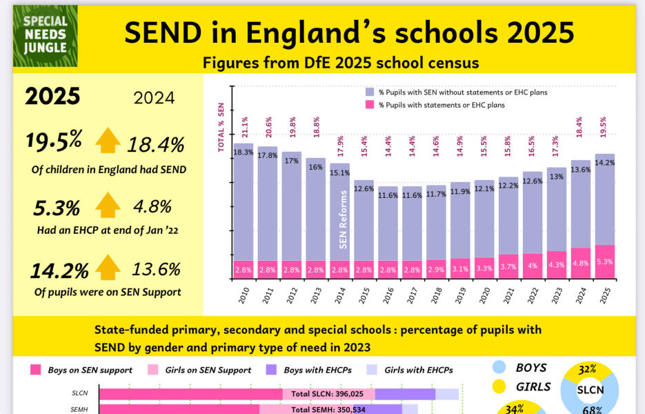 AIBU to think not every school issue should be labelled SEN?