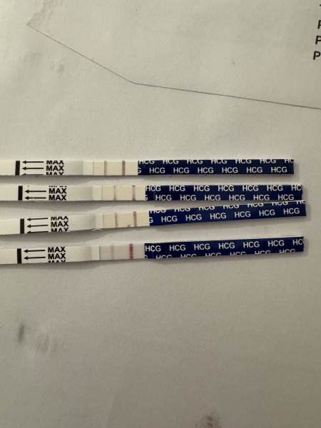 Positive test but been spotting for 10 days..?
