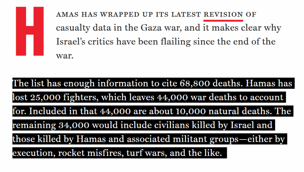 To say all pro-Palestinians should watch Fauda on Netflix?