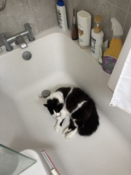 Where would you be sleeping if you decided to sleep where your pet sleeps ?