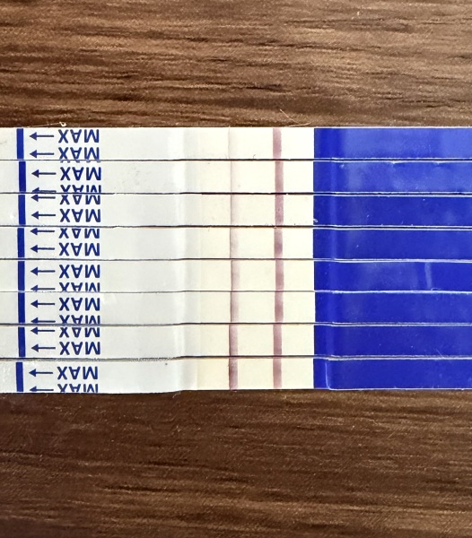 Pregnancy test line progression from 13dpo to 23dpo