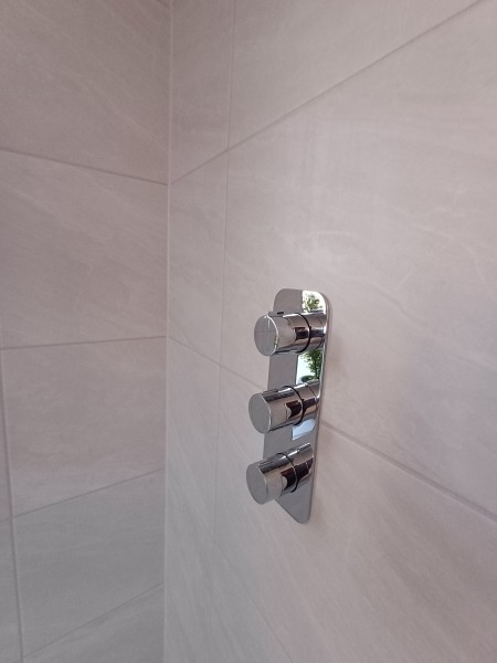 Help with what to search for a shower riser with controls on the opposite wall