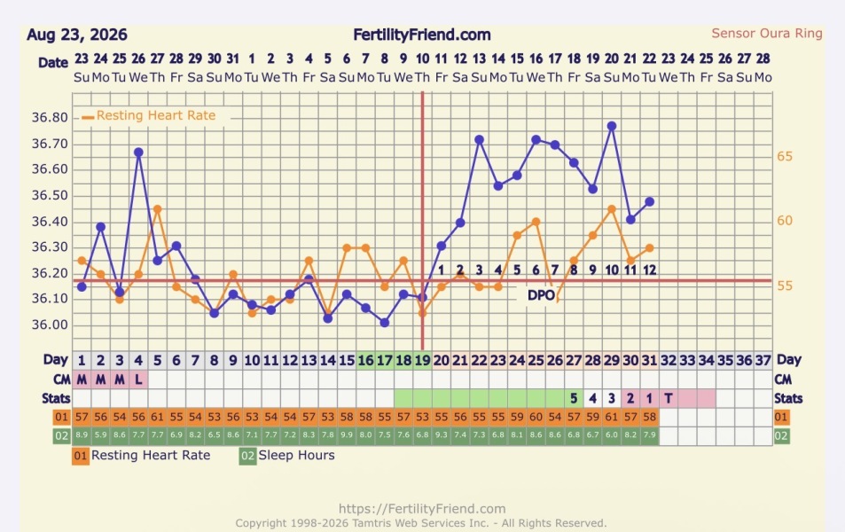 Late period and temperature rise after 12DPO with negative test