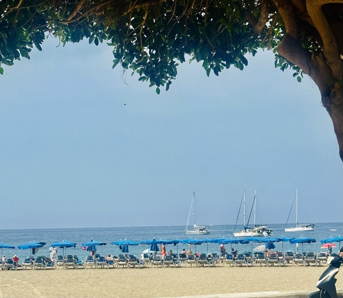 What areas are nice in Tenerife