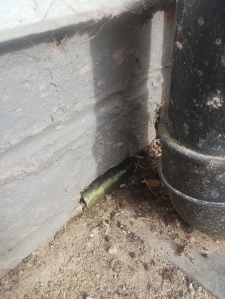 Hole in outside kitchen wall by drain, urgent repair or winter patch?