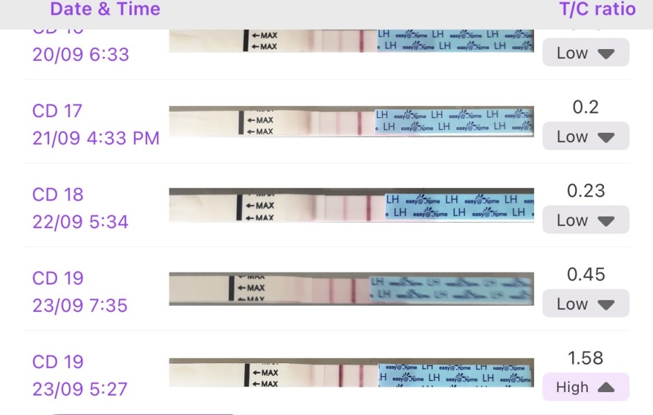 TTC September/October 26