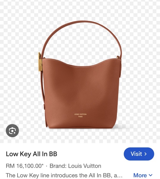Status but every day handbag