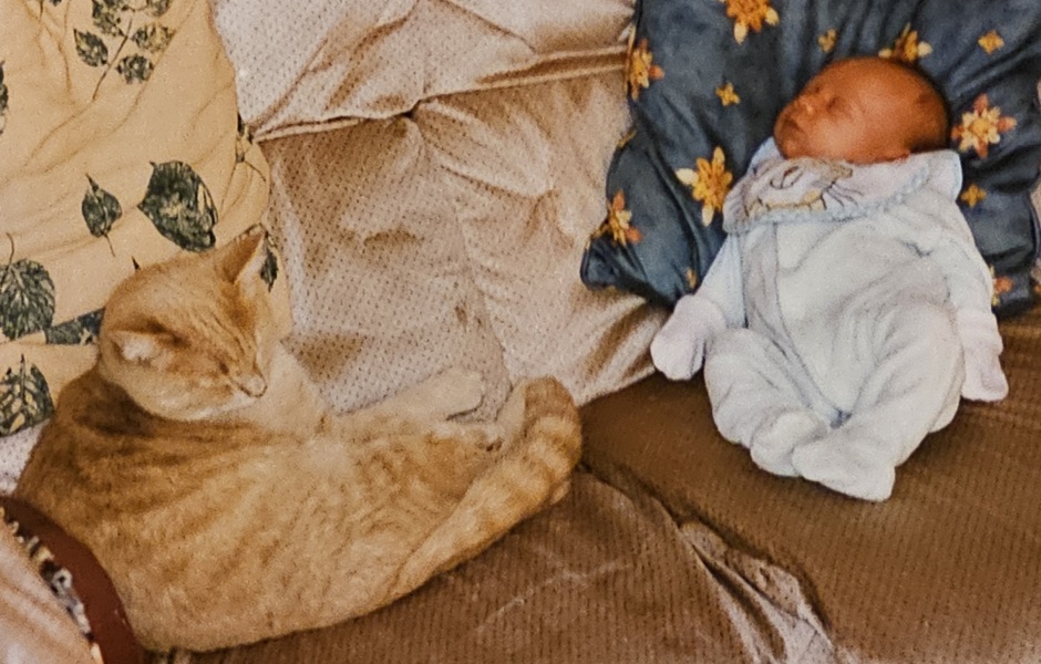 Rodents and Risk Assessments - the Excellent Cats applaud Gizmo's recent achievements