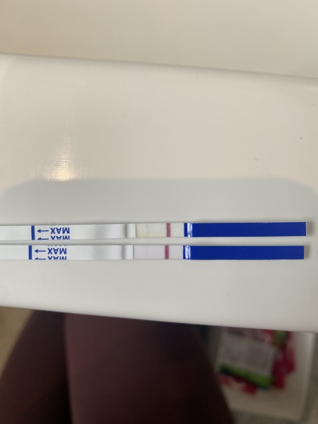 Could these pregnancy tests be positive despite a late ovulation test?