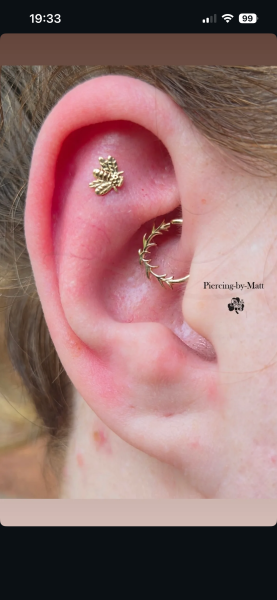 Show me your "curated ears"