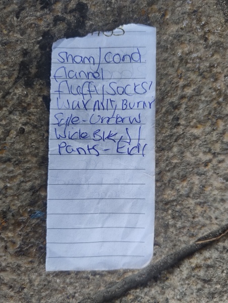 Go Me! Another Shopping List!