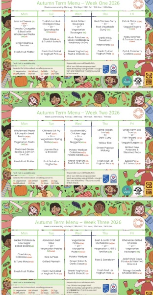 AIBU to be concerned about my daughter's school lunch menu?