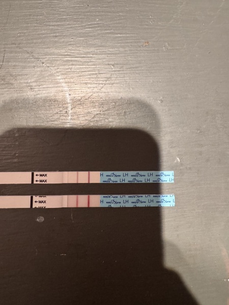 TTC September/October 26