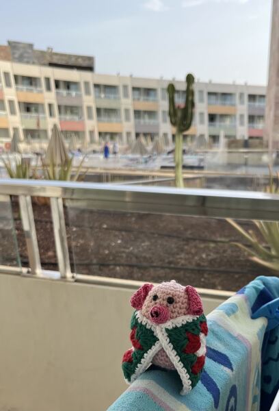 Crocheters, what are you making at the moment?