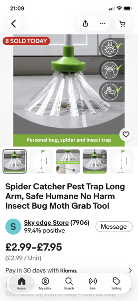 Spiders