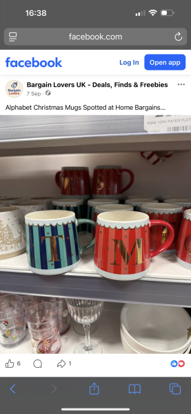 Home Bargains mug help