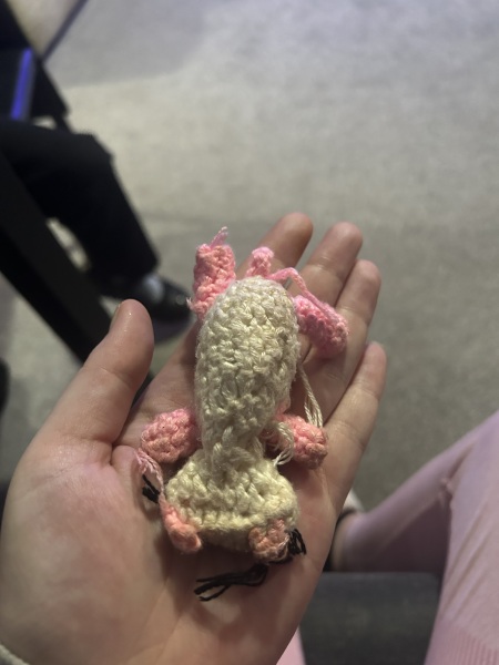 Crocheters, what are you making at the moment?