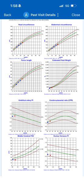Baby’s growth slowed down 22 weeks