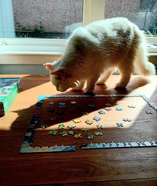 What unusual domain would your cat be the god of?