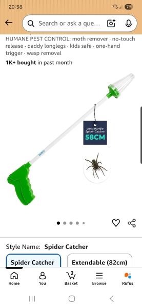 Spiders
