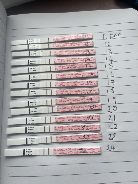 Worried my line progression could indicate another ectopic pregnancy