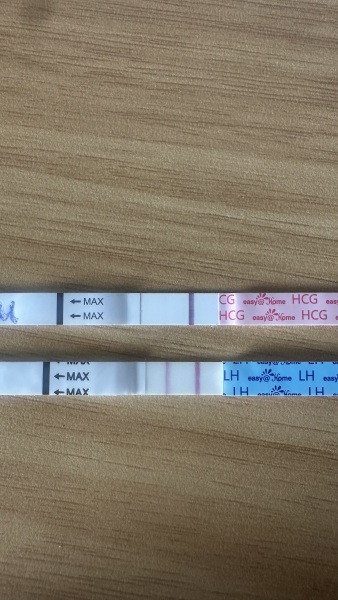 Early loss / MMC TTC support - the club nobody wanted to join 💔🌈