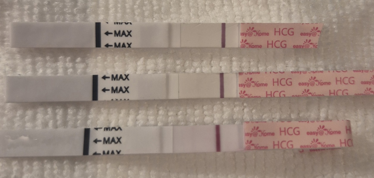 TTC September/October 26