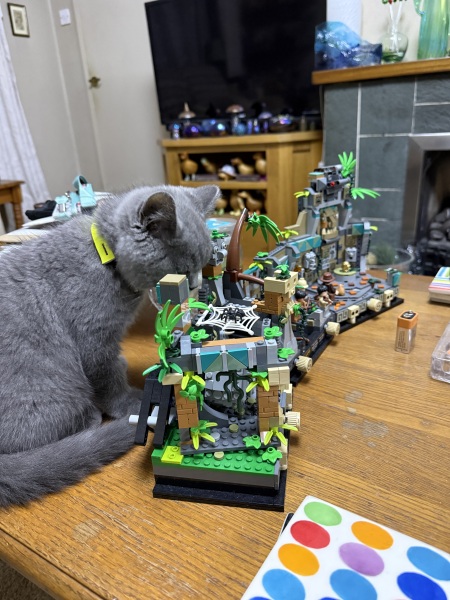 Rodents and Risk Assessments - the Excellent Cats applaud Gizmo's recent achievements