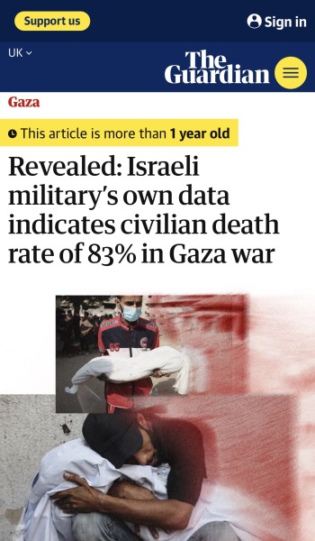 To say all pro-Palestinians should watch Fauda on Netflix?