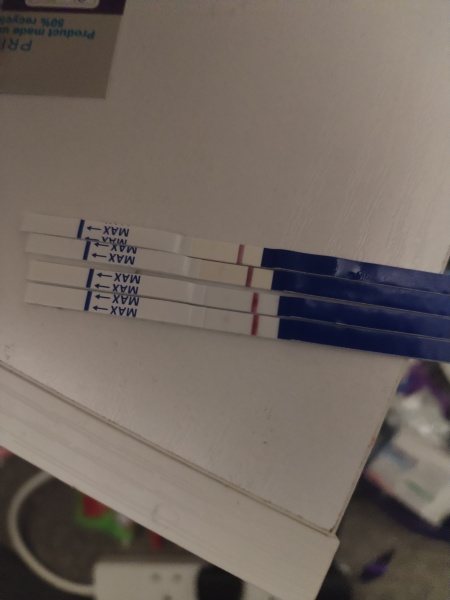 Pregncey strip test amzoin
