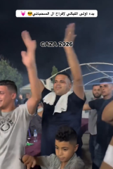 To say all pro-Palestinians should watch Fauda on Netflix?
