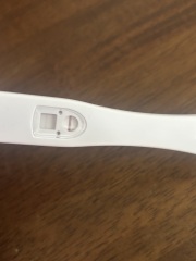 Pregnant