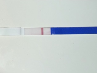 Are these tests showing indents or early positives at 9 DPO