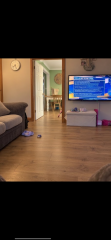 Capet on hardwood/LVT for living room?