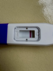 Confusing results from an early pregnancy test and Clearblue follow-up