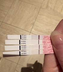 8dp5dt line eyes, help please TWW