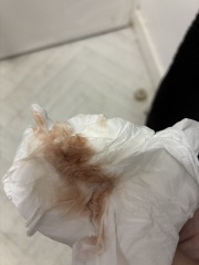 Bleeding at 14 weeks with a haematoma, has anyone experienced this?