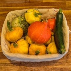 2026 Allotmenteers - have we lost the plot?!