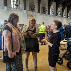 Mass lobby of parliament