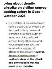 To say all pro-Palestinians should watch Fauda on Netflix?