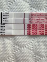 Pregnancy tests - 7dpo