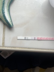 Spotting since 6DPO - now 9D0 and early test, do you see anything here?