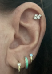 Show me your "curated ears"